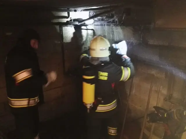 Ein Hund verendete tragisch im Haus, während die Feuerwehrmänner alles daransetzten, ein zweites Tier zu retten. (Symbolbild) | Foto: FF Donnerskirchen