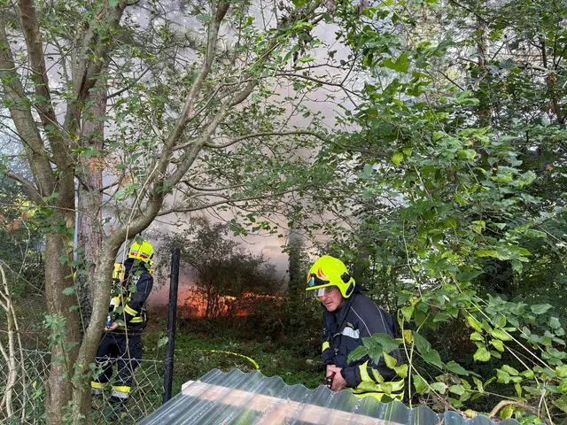 Seit dem 20. September kam es in Guntramsdorf zu mehreren Bränden. | Foto: Freiwillige Feuerwehr Guntramsdorf