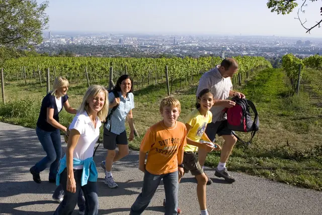 Bereits zum 18. Mal findet in Wien der Weinwandertag für die ganze Familie statt. (Archiv) | Foto: Christian Houdek / PID