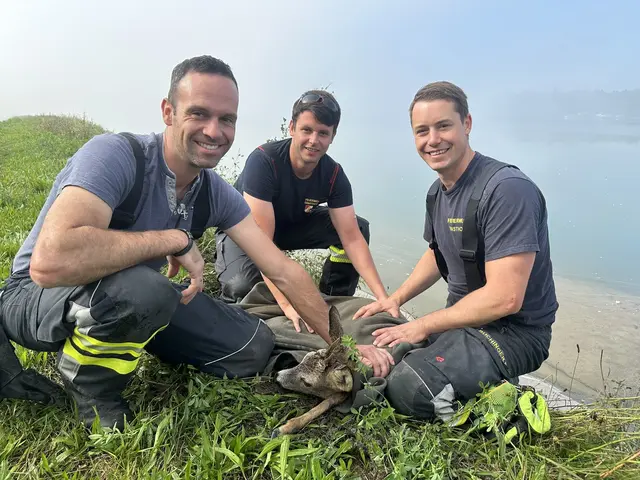 Foto: Bfkdo Amstetten / FF Ernsthofen
