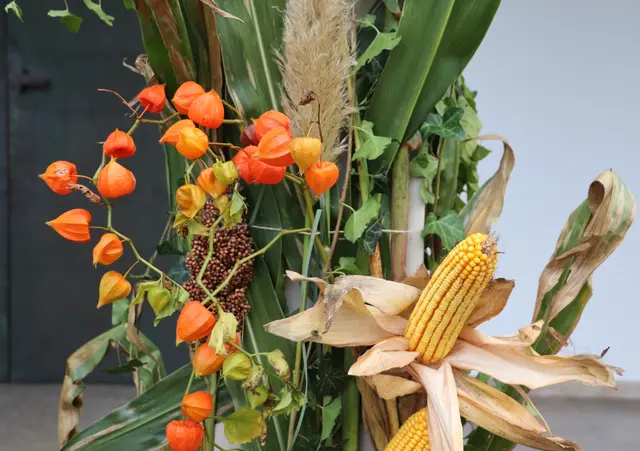 Die Gemeinde Hart bei Graz lädt zum Erntedankfest am Bauernmarkt.  | Foto: Edith Ertl