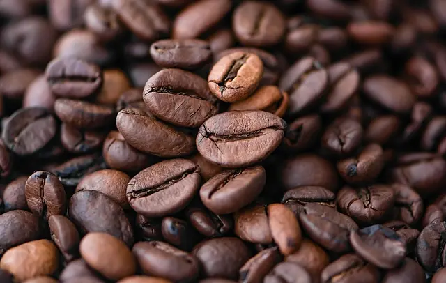 Kaffeebohnen wachsen in sogenannten Kaffeekirschen an Kaffeepflanzen. Die roten Kirschen, die je zwei Bohnen enthalten, welche nach der Ernte gewaschen, getrocknet und geröstet werden, bevor sie zum Kaffee werden. | Foto: Symbolbild pixabay.com