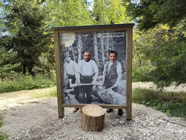 Landesrat Hannes Amesbauer und Luca Geistler probierten die Waldarbeiter-Station gleich selbst aus. | Foto: MeinBezirk/ Margot Jeitler