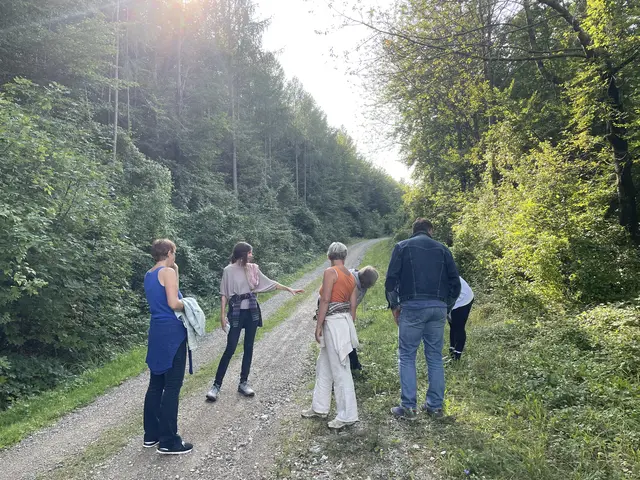 Bei strahlendem Herbstwetter stand erneut ein Kräuterspaziergang auf dem Programm, bei dem gesundheitsfördernde Pflanzen wie Weidenröschen und Weißdorn vorgestellt wurden. | Foto: Hörl