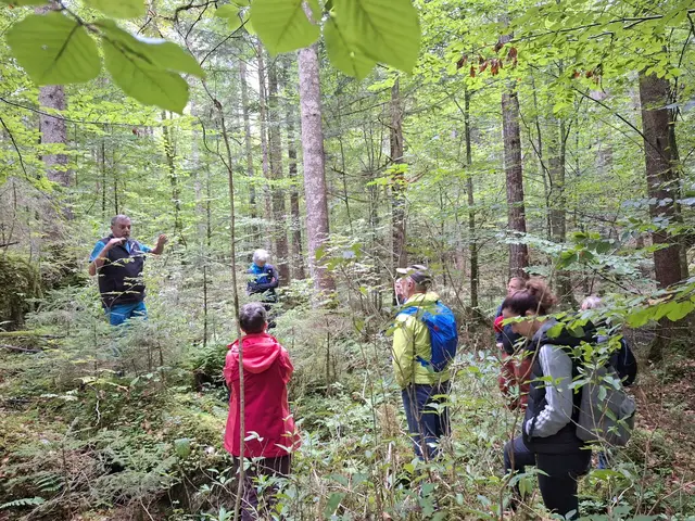 Waldführung im Hallstätter Echerntal. | Foto: oebf/M. Steyrer