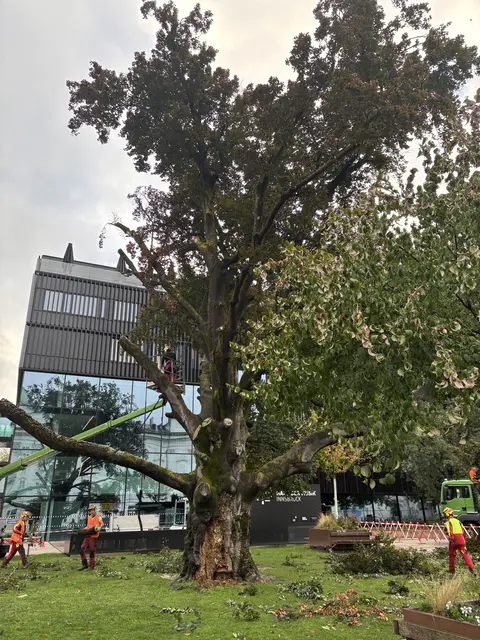 Foto: MeinBezirk / René Rebeiz