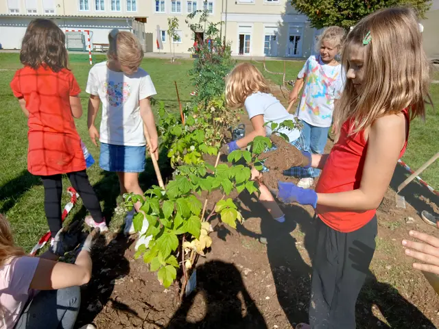Handschuhe an und rein ins Vergnügen | Foto: VS Weizberg