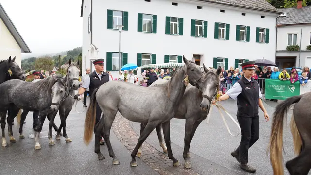 Foto: MeinBezirk/Justin Schrapf