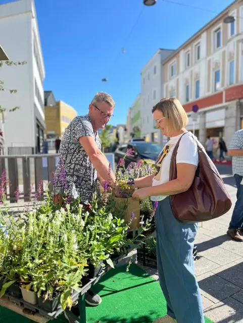 Foto: Julia Martin/Eva Frauscher/Stadtamt Ried im Innkreis