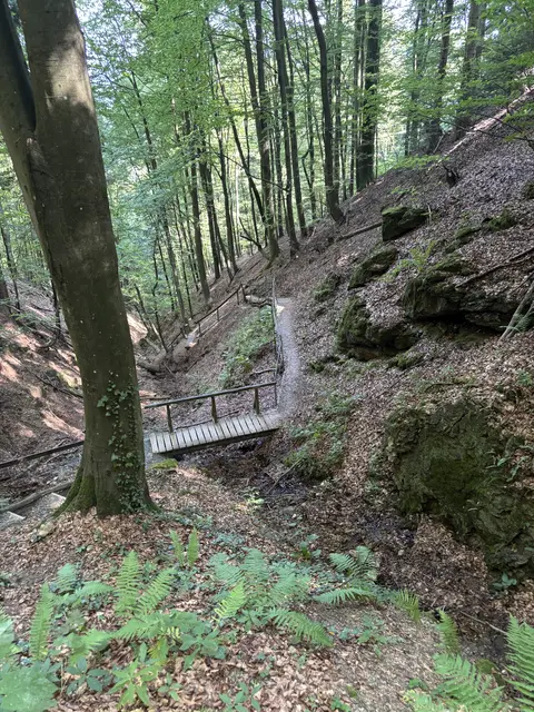 Foto: Waltraud Fischer