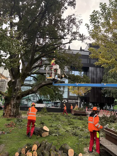 Foto: MeinBezirk / René Rebeiz