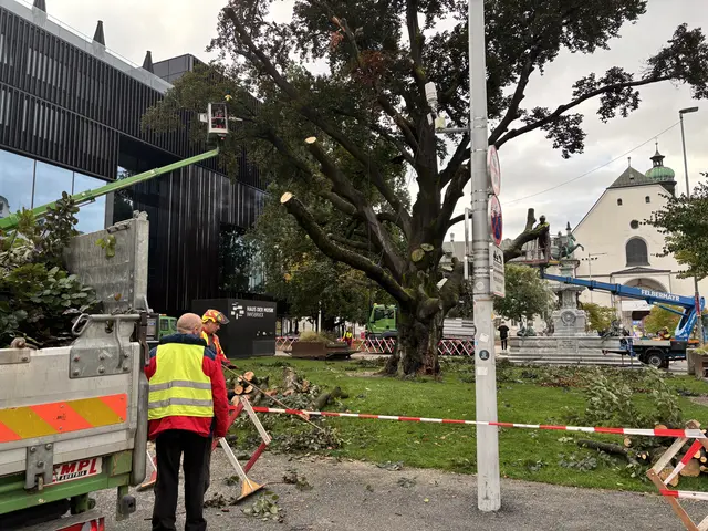 Foto: MeinBezirk / René Rebeiz