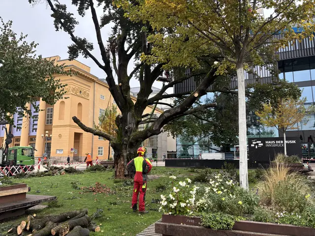 Foto: MeinBezirk / René Rebeiz