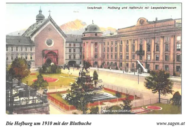 1910: Die Blutbuche ist am rechten Rand des Bildes zu sehen. | Foto: MeinBezirk / René Rebeiz