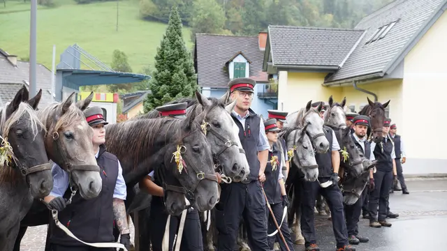 Die Lipizzanerstuten mit ihren Begleiterinnen und Begleitern am Dorfplatz in Kainach | Foto: MeinBezirk/Justin Schrapf