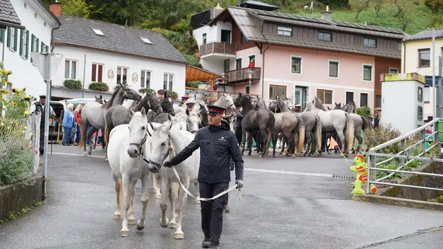 Foto: MeinBezirk/Justin Schrapf