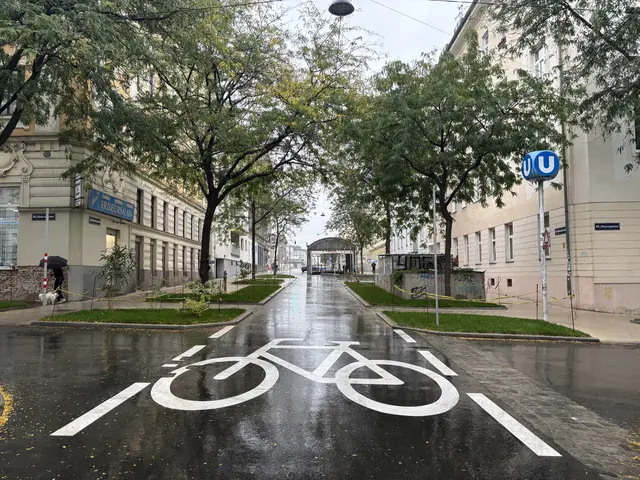 Foto: Matthias Pandrea/MeinBezirk