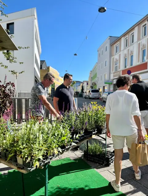 Foto: Julia Martin/Eva Frauscher/Stadtamt Ried im Innkreis