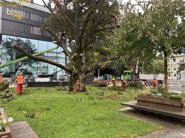 Foto: MeinBezirk / René Rebeiz