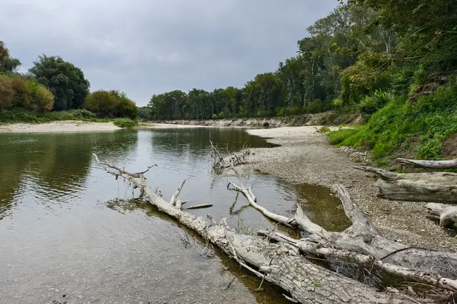 Der Spittelauer Arm der Donau | Foto: Christine Pühringer