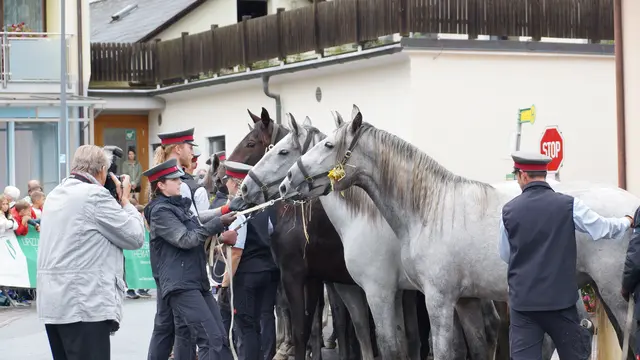 Foto: MeinBezirk/Justin Schrapf
