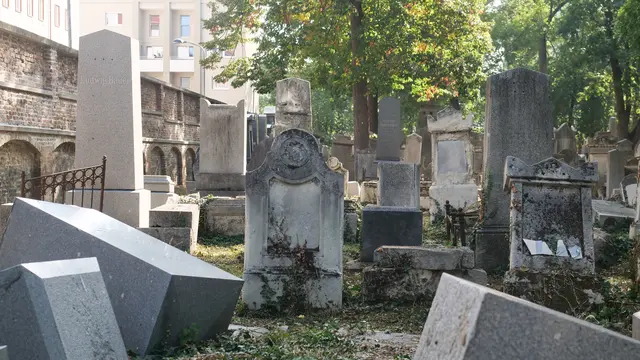 In der Langen Nacht der Museen kann man über den Jüdischen Friedhof Währing spazieren.  | Foto: Maximilian Spitzauer/MeinBezirk
