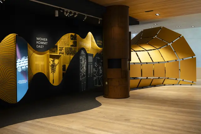 Foto: Maria Kirchner