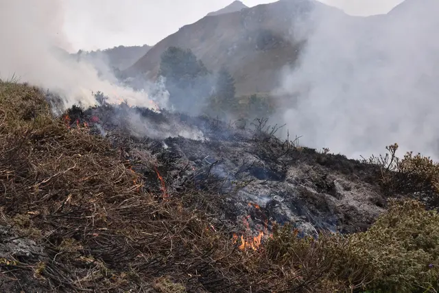 Ein Bauer scheint, die Fläche gezielt angezündet und sie dann aber nicht mehr baufsichtigt zu haben | Foto: ZOOM.TIROL