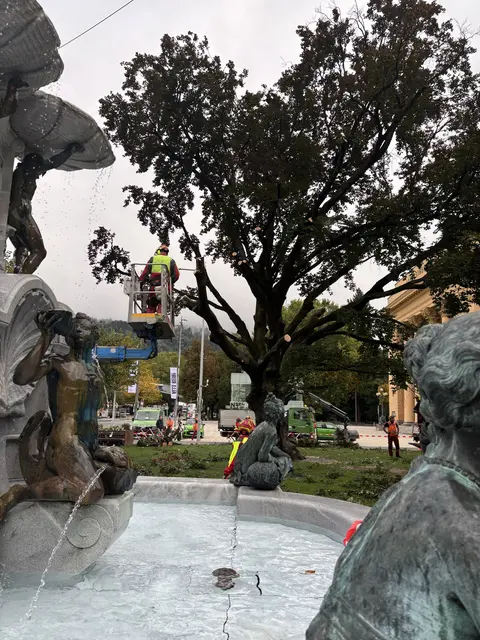 Foto: MeinBezirk / René Rebeiz