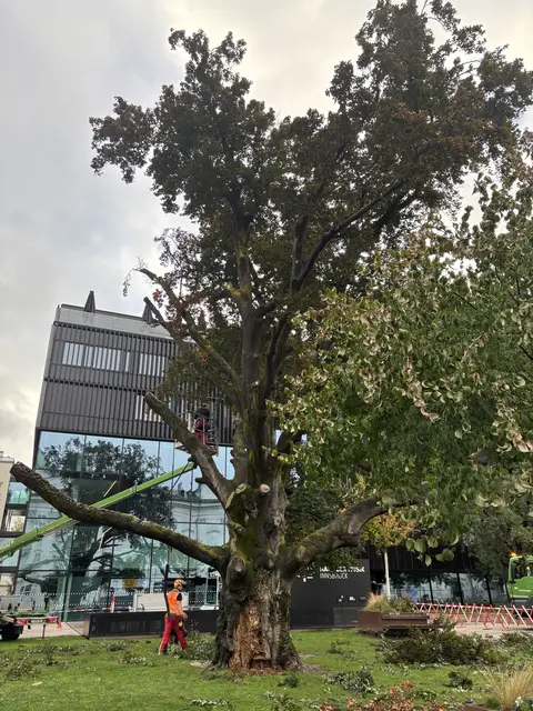 Foto: MeinBezirk / René Rebeiz