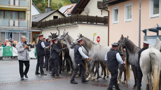 Foto: MeinBezirk/Justin Schrapf