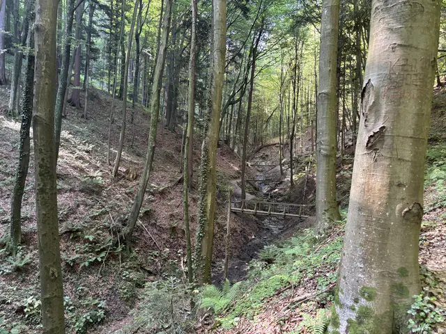 Foto: Waltraud Fischer