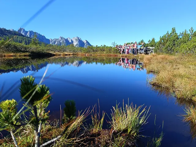 Ob Klimaschutz, Artenvielfalt oder regionale Geologie – beim „Unterricht im Moor“ wurde deutlich, wie Umweltbildung aussehen kann: praxisnah, kindgerecht und voller Aha-Momente. | Foto: KLAR!