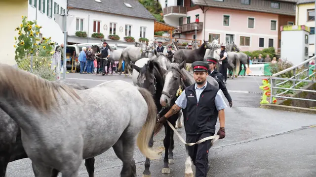 Foto: MeinBezirk/Justin Schrapf