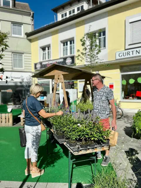 Foto: Julia Martin/Eva Frauscher/Stadtamt Ried im Innkreis