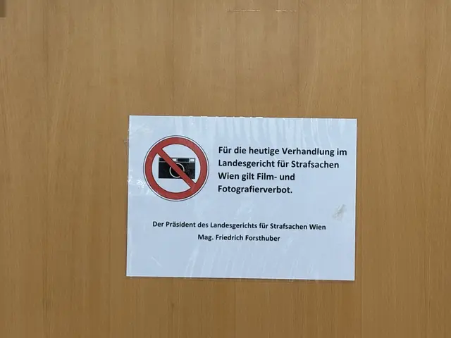 Am Freitagnachmittag kam es zu einem Urteil bei der Verhandlung gegen die zehn jungen Männer, die wegen Sexualdelikten an einer Zwölfjährigen angeklagt waren.  | Foto: Ronja Reidinger/MeinBezirk