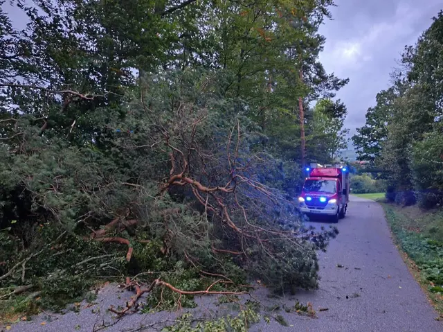 Foto: FF Aigen im Mühlkreis