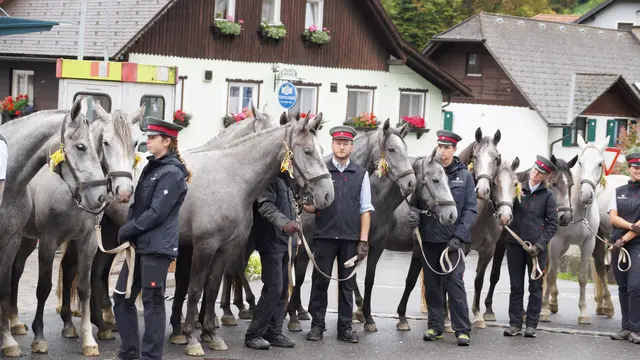 Foto: MeinBezirk/Justin Schrapf