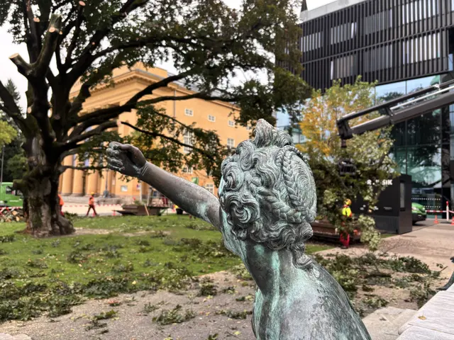 Das Naturdenkmal prägte 120 Jahre das Erscheinungsbild. | Foto: MeinBezirk / René Rebeiz