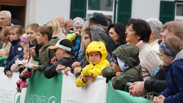 Foto: MeinBezirk/Justin Schrapf