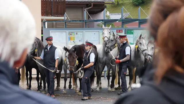 Foto: MeinBezirk/Justin Schrapf