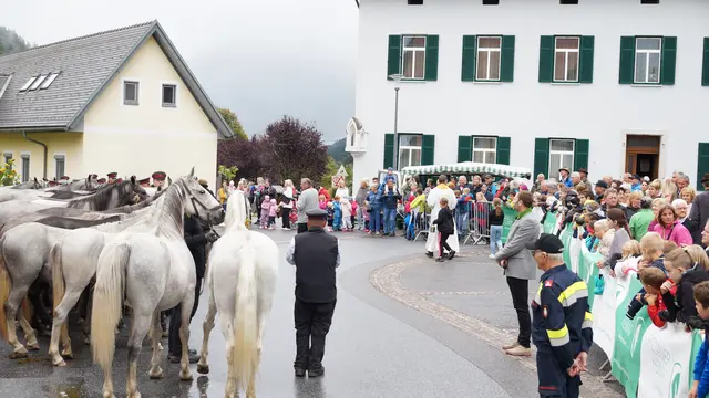 Foto: MeinBezirk/Justin Schrapf