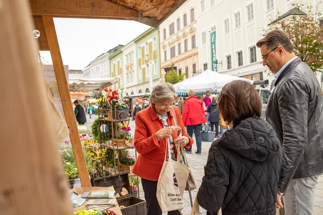 Foto: Julia Martin/Eva Frauscher/Stadtamt Ried im Innkreis