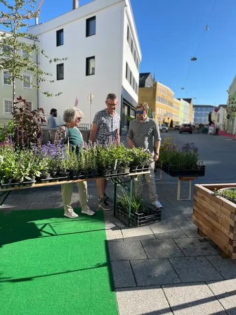 Foto: Julia Martin/Eva Frauscher/Stadtamt Ried im Innkreis