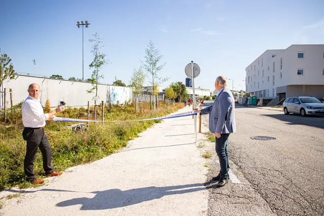 Foto: Julia Martin/Eva Frauscher/Stadtamt Ried im Innkreis