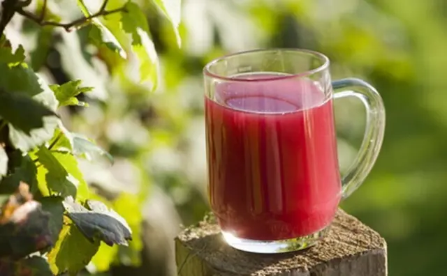 Das süßlich, spritzige Weingetränk hat im Spätsommer und Herbst Saison. | Foto: Dora Zett