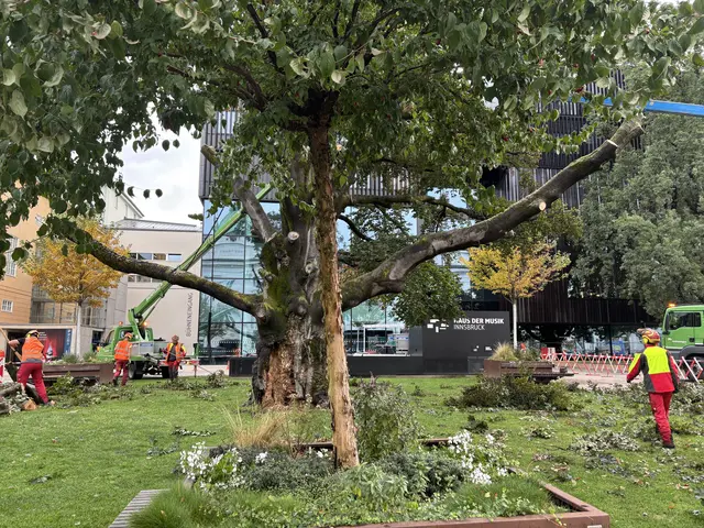 Foto: MeinBezirk / René Rebeiz