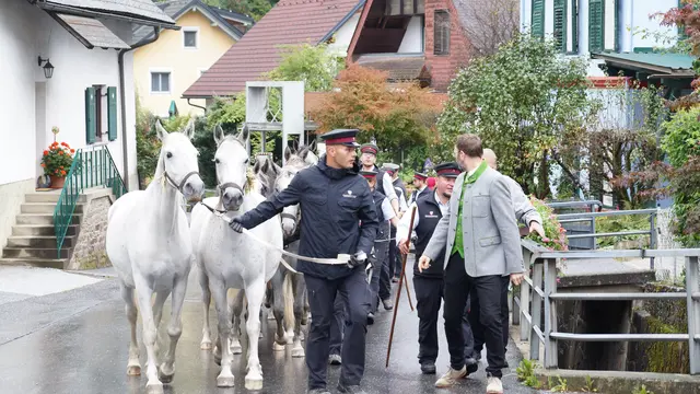 Foto: MeinBezirk/Justin Schrapf