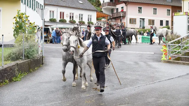 Foto: MeinBezirk/Justin Schrapf