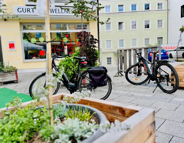 Foto: Julia Martin/Eva Frauscher/Stadtamt Ried im Innkreis